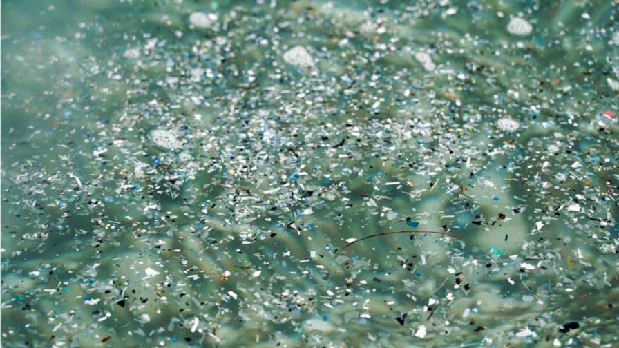 Expertos chinos diseñan esponja biodegradable que depura 99,8 % de microplásticos del agua Expertos chinos diseñan esponja biodegradable que depura 99,8 % de microplásticos del agua