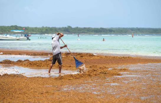 Representantes de la UE y del Caribe se reúnen para abordar el arribo masivo de sargazo