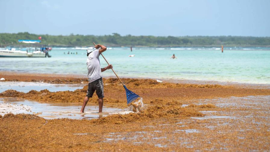 Representantes de la UE y del Caribe se reúnen para abordar el arribo masivo de sargazo Representantes de la UE y del Caribe se reúnen para abordar el arribo masivo de sargazo