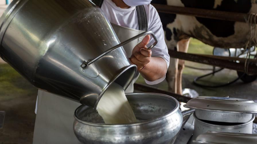 EE.UU. ordena analizar muestras de leche de todo el país para detectar focos de gripe aviar EE.UU. ordena analizar muestras de leche de todo el país para detectar focos de gripe aviar